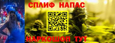 сатива Будённовск