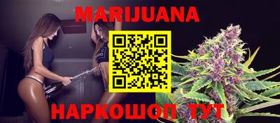 сатива Будённовск
