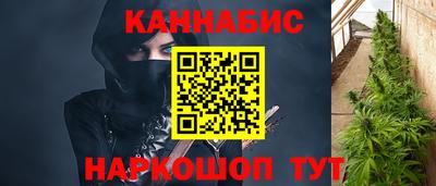 сатива Будённовск