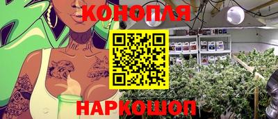 сатива Будённовск