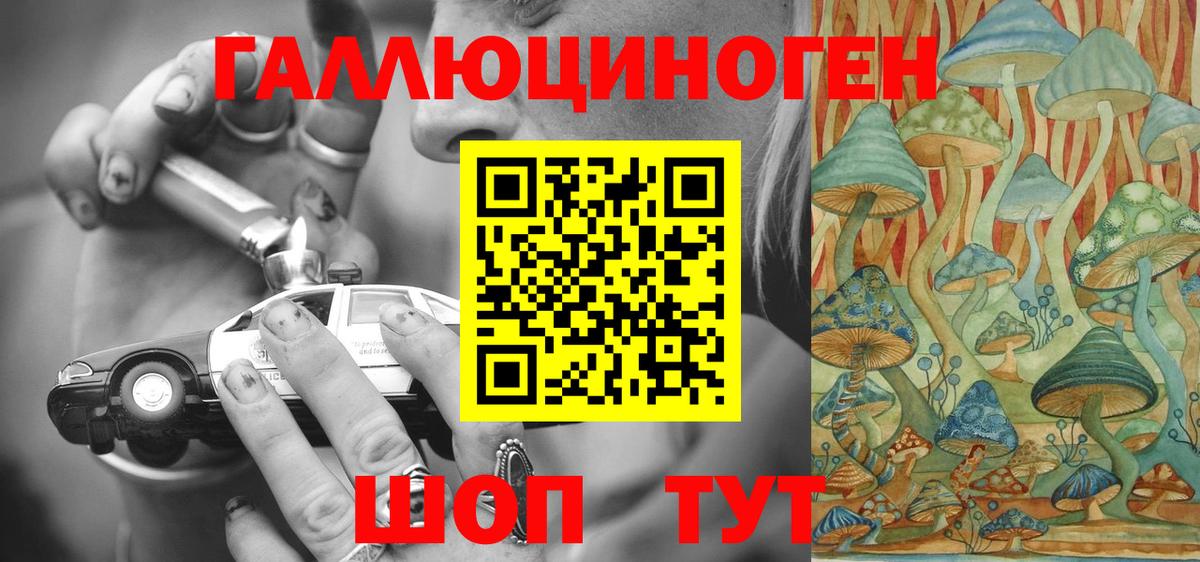Минеральные Воды  Псилоцибиновые грибы Psilocybine cubensis  Вход с VPN 