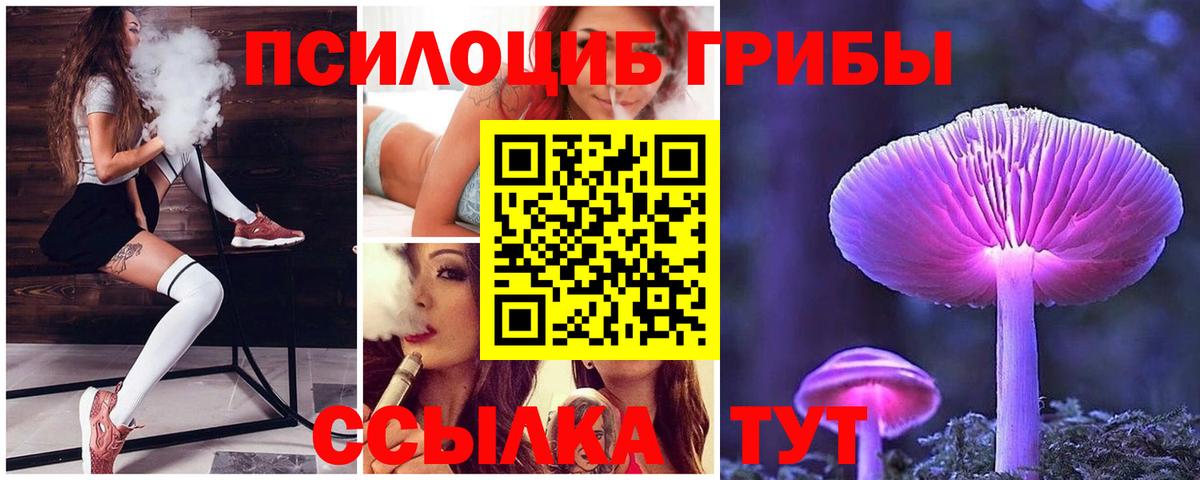 Галлюциногенные грибы Cubensis Минеральные Воды